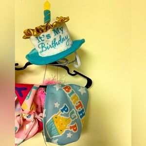 Blue Pet Birthday Cake Hat & Birthday Pup Bandanna